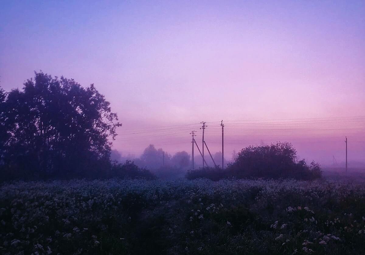 【爆料】91网突发：大V在深夜被曝曾参与花絮，动情席卷全网