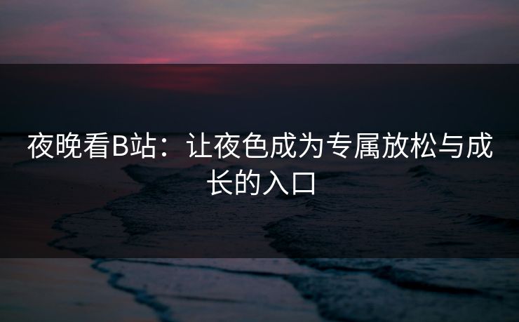 夜晚看B站:让夜色成为专属放松与成长的入口