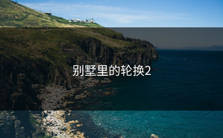 别墅里的轮换2